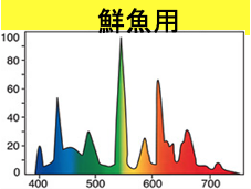 高演色用