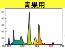 高演色用